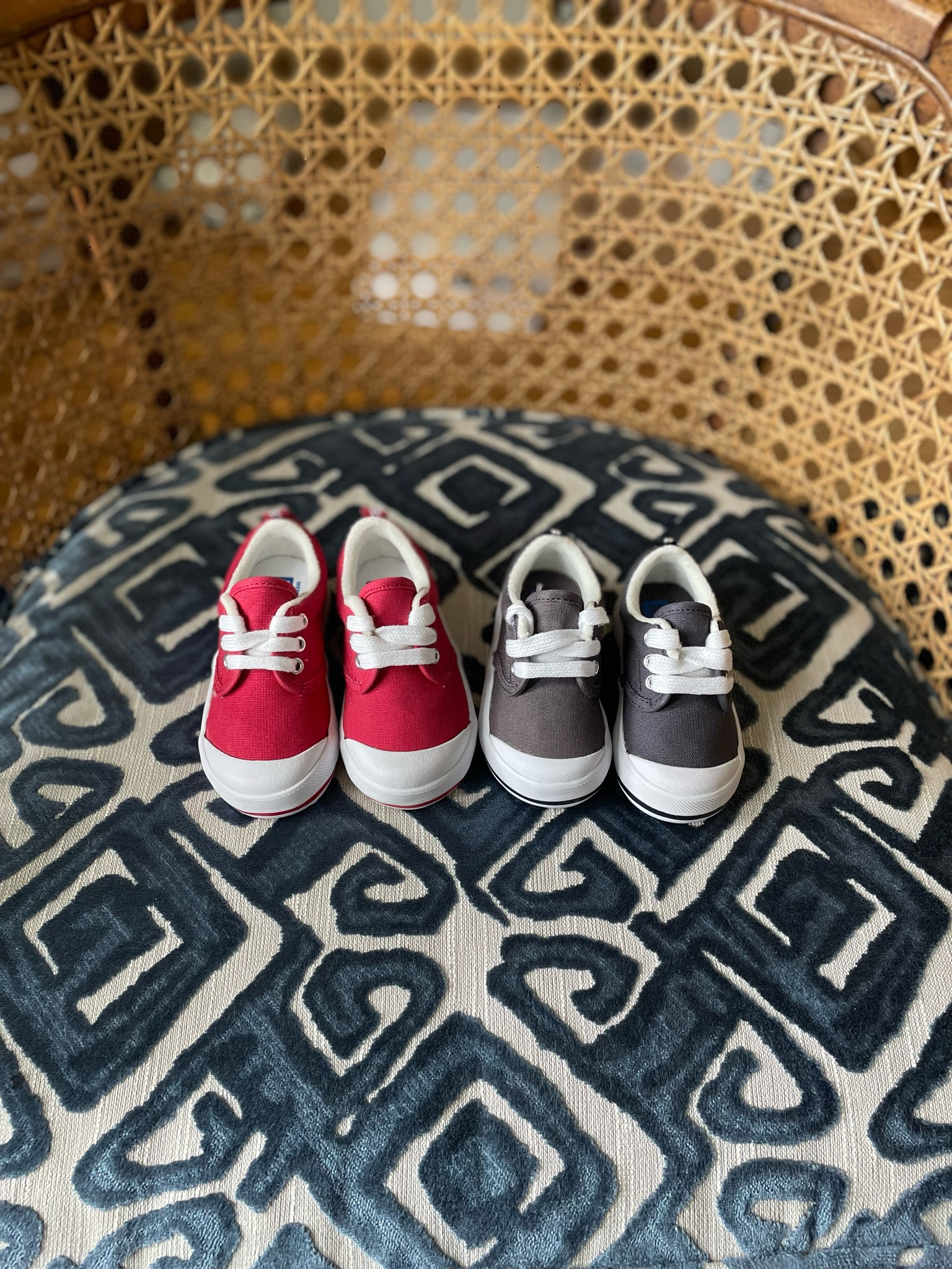 New shoes for Teddy ❤️