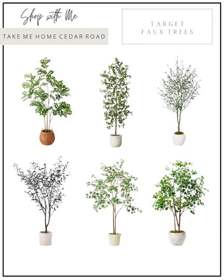 Target Faux Trees

Great reviews on all of these!

Faux tree, faux olive tree, ficus tree, shady lady tree, faux greenery, spring decor, target faux tree, target finds 

#LTKSeasonal #LTKhome