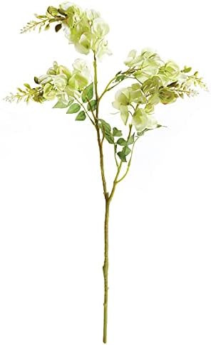 Napa Floral Collection-Wisteria Stem 23.5 inches Green | Amazon (US)
