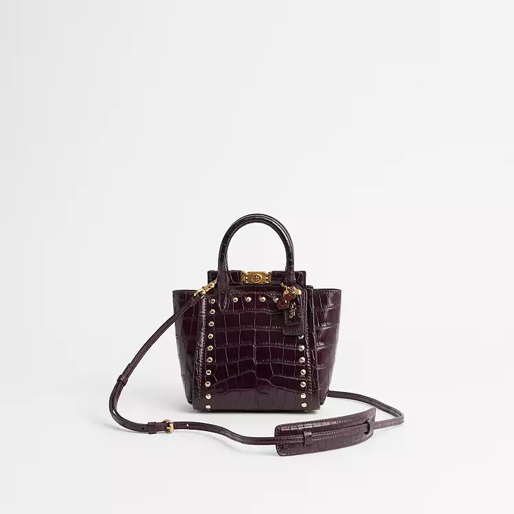 In Alligator | Coach (US)