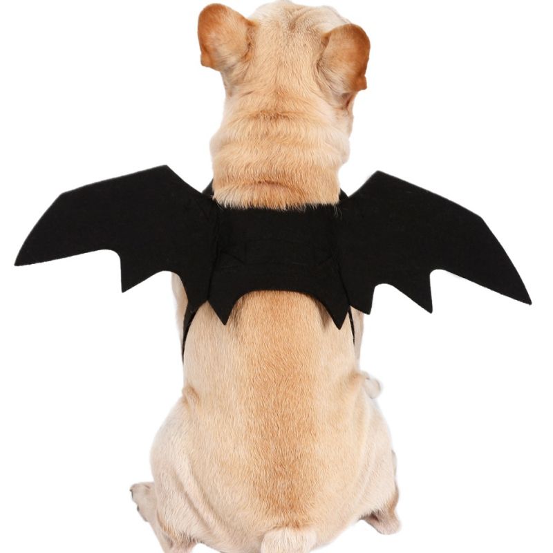 Maynos Pet Halloween Cosplay Funny Costume for Dogs Cats Puppies Kittens Black Bat Wings - Walmar... | Walmart (US)