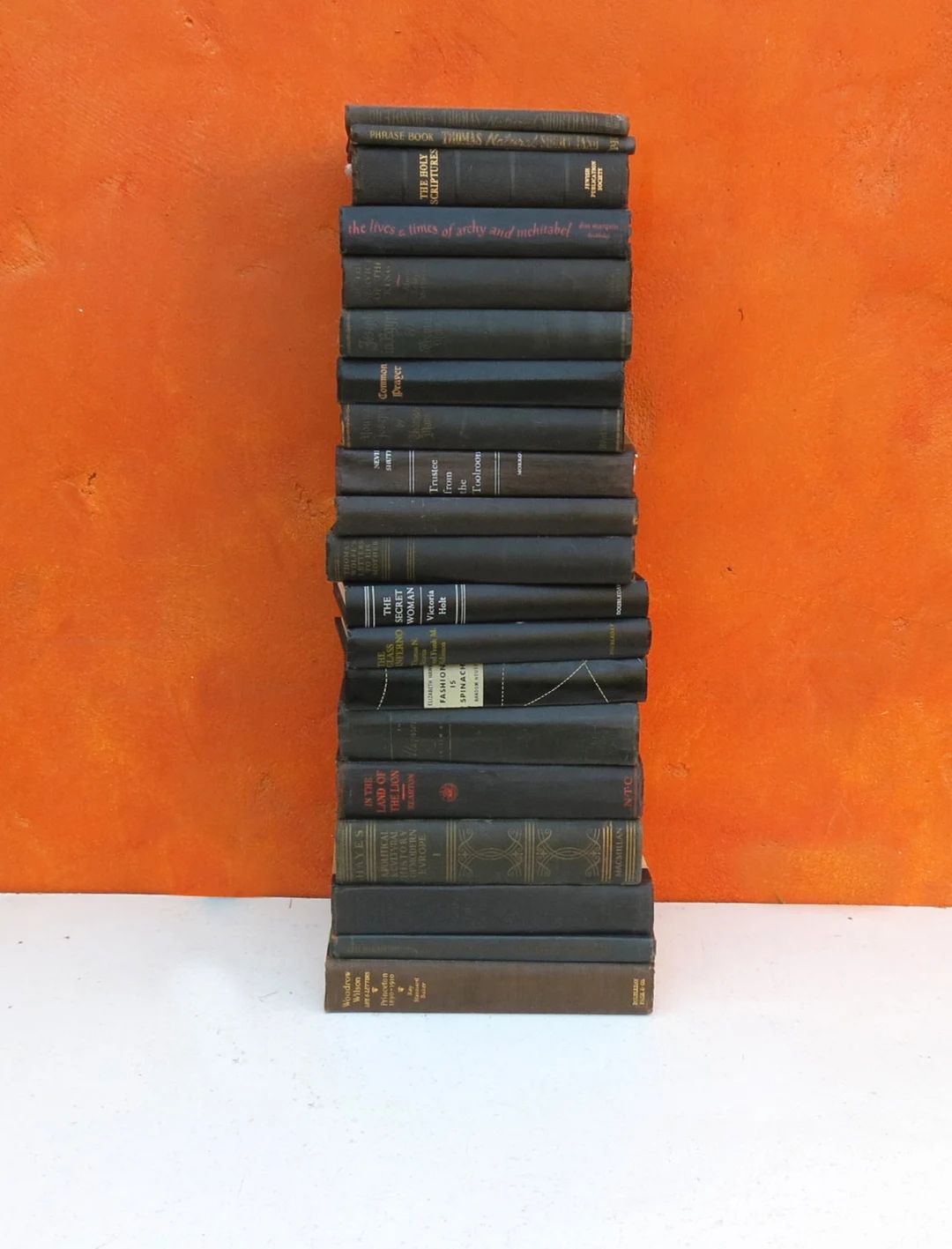 Vintage Black Book Collection. Lot Decorative Vintage Black - Etsy | Etsy (US)