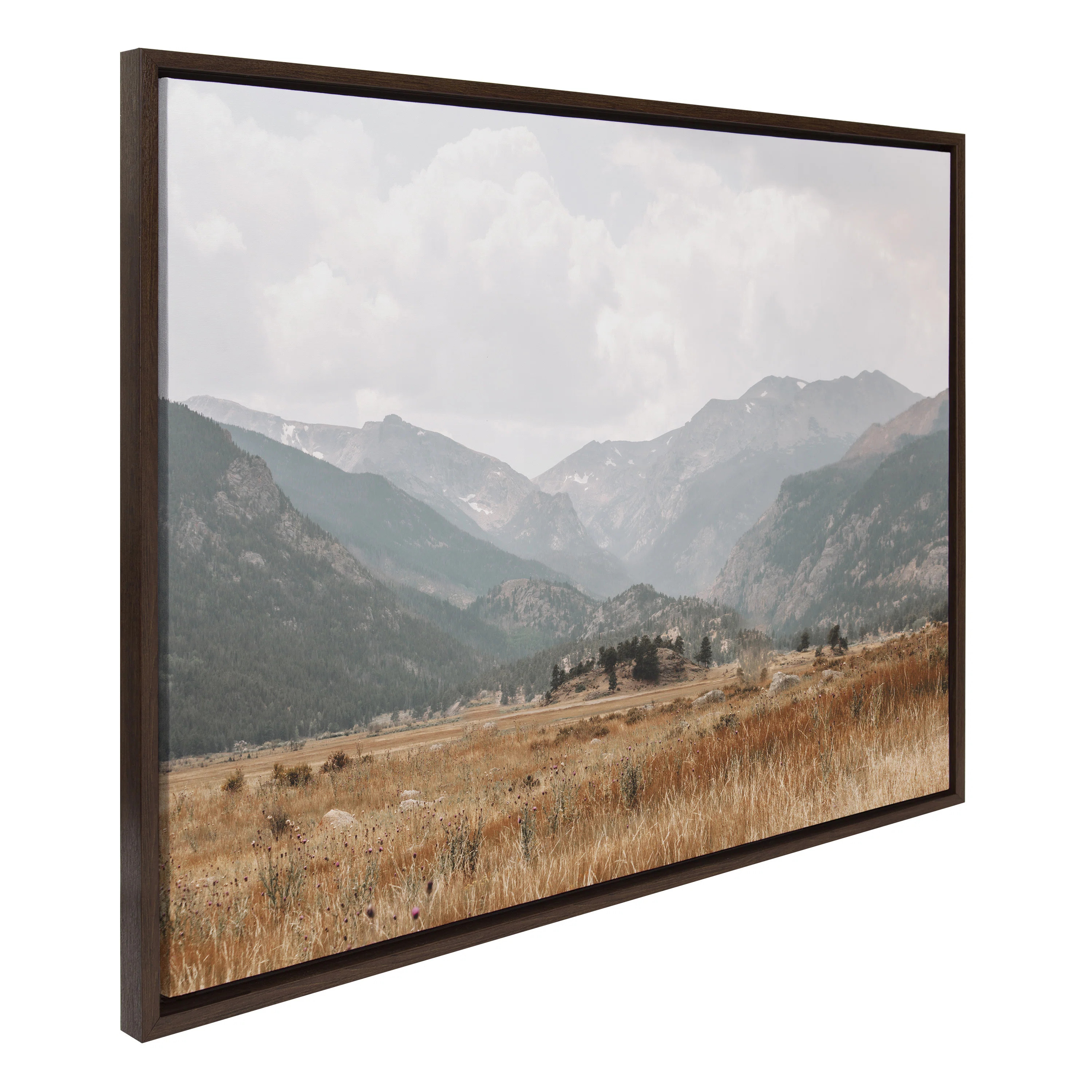 Shalyce " AA Wanderings " by Alicia Abla | Wayfair North America