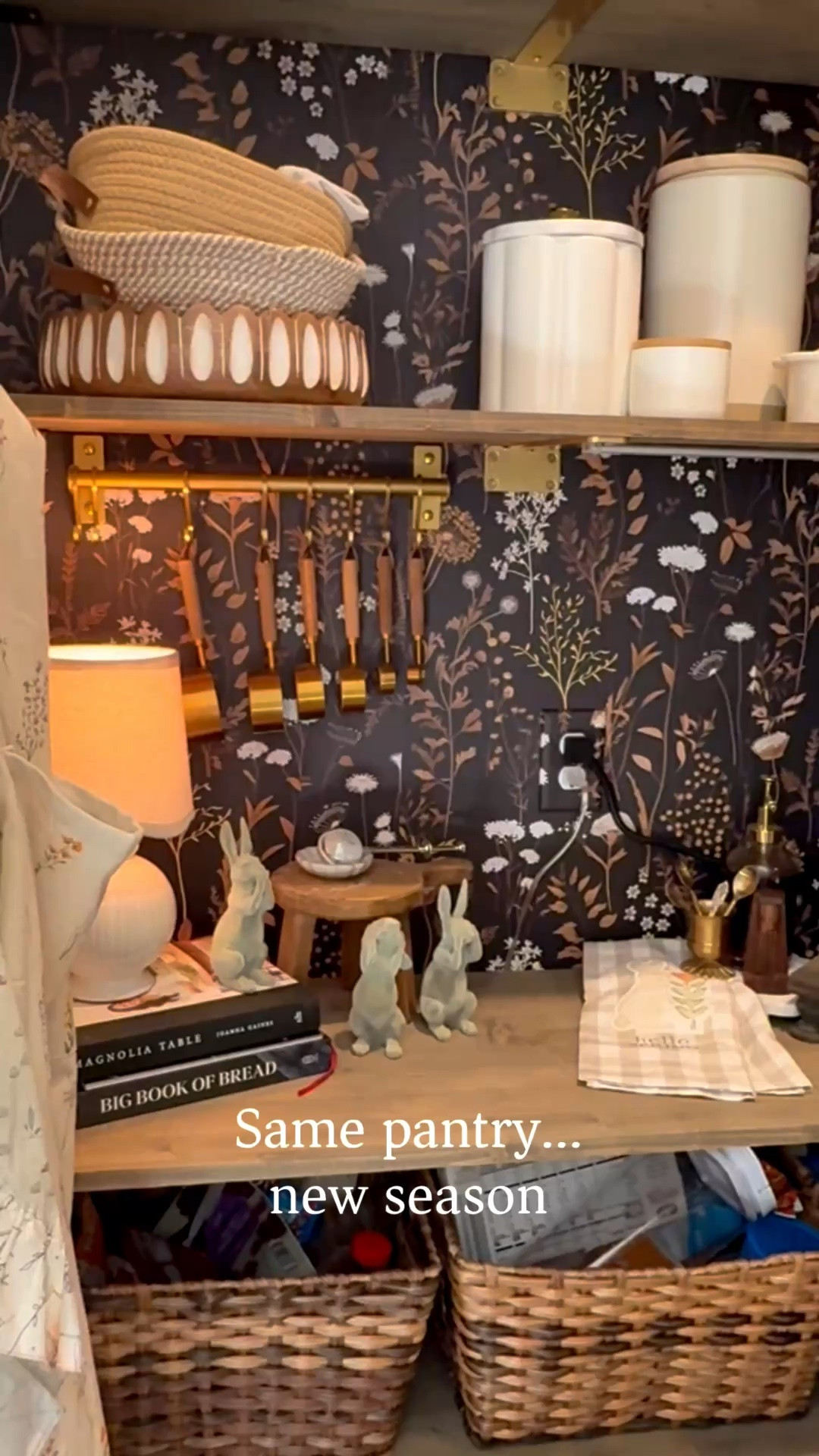 Same pantry… just a new season.

I love refreshing this little coffee bar with a few simple spring pieces. It keeps the space feeling current without changing anything major.

If you’re looking for spring coffee bar styling or pantry styling ideas, small seasonal layers make the biggest difference.

I linked a few similar pieces if you want to recreate the look.

#coffeebarstyling #pantryinspo #springdecor #kitcheninspiration #seasonalstyling