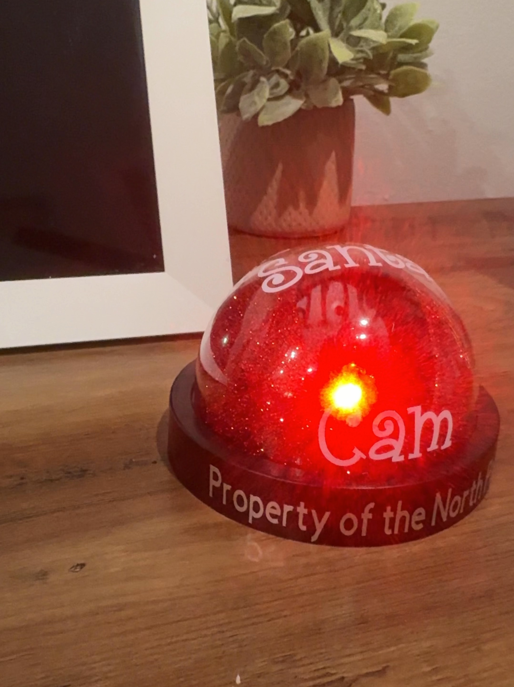 This Santa Cam came from the North Pole today! My son was so excited to get a gift from Santa… and I’m eager to see how well this works to keep him in line 😜🎅🏼✨ 

It’s so cute! It’s battery operated and comes with a special note from Santa as well! 

**not really recording, it’s a fake “cam” **

#LTKFamily #LTKHoliday #LTKGiftGuide