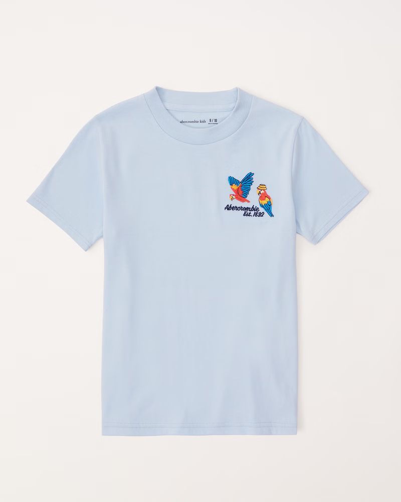 boys imagery logo graphic tee | boys new arrivals | Abercrombie.com | Abercrombie & Fitch (US)