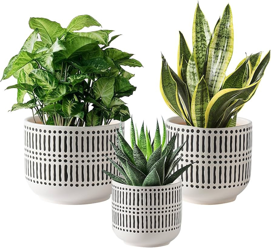 Pots for Indoor Plants, 6.5+5.3 +4 Inch, Set of 3,Ceramic Cylinder Round Planters with Drainage H... | Amazon (US)