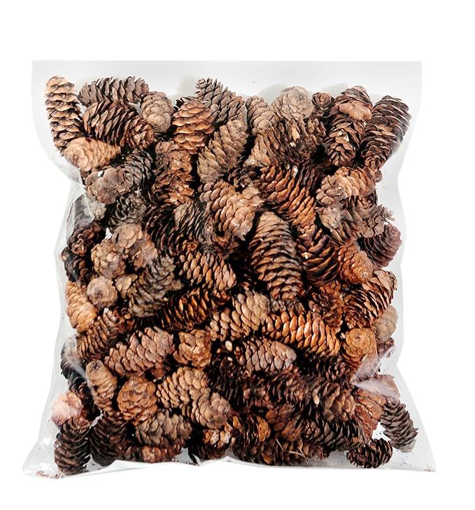 SuperMoss (24511) Black Spruce Pine Cones, 8-Ounce, Brown | Amazon (US)