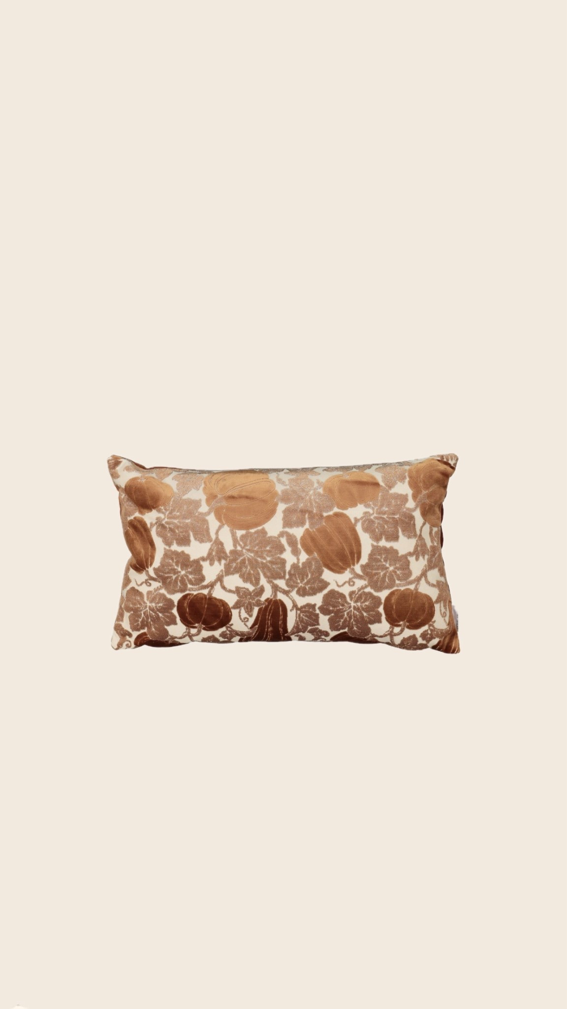 Autumn pumpkin cushion 

#LTKautumn #LTKuk #LTKhome