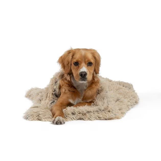 BEST FRIENDS BY SHERI Throw Shag Dog & Cat Blanket, Taupe, Standard - Chewy.com | Chewy.com