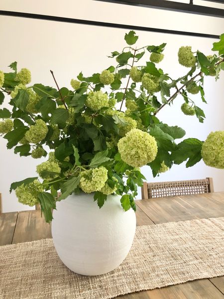 Linking some faux snowball hydrangea that look just like my real ones here!

Faux flowers, faux florals, faux stems, greenery, spring stems, vases, white vases, table decor, home decor, dining table decor

#LTKunder100 #LTKhome #LTKFind