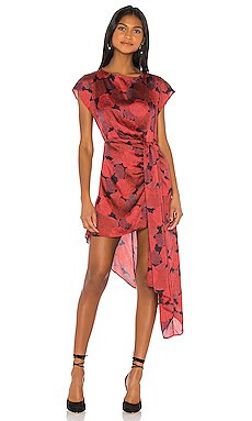 L'Academie The Elaina Mini Dress in Red Peony from Revolve.com | Revolve Clothing (Global)