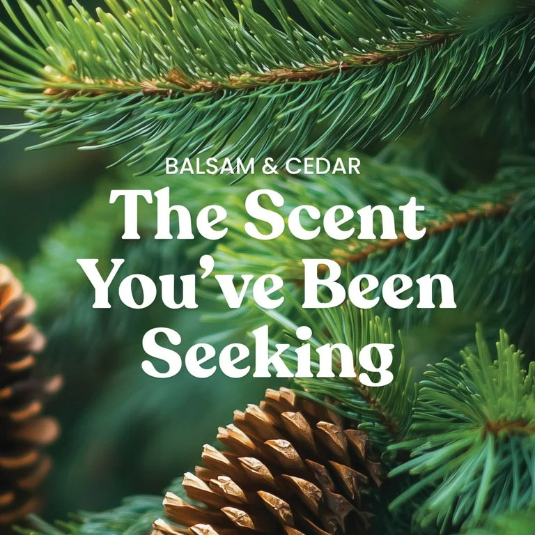 Yankee Candle Balsam & Cedar Studio Home Decor Scented Candles, 10 oz | Walmart (US)