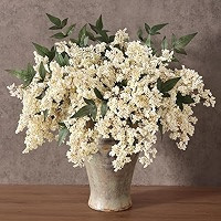 12Pcs 17"Lifelike Artificial Nandina Berry Stems for Home Decor(Dusty Plum) | Amazon (US)
