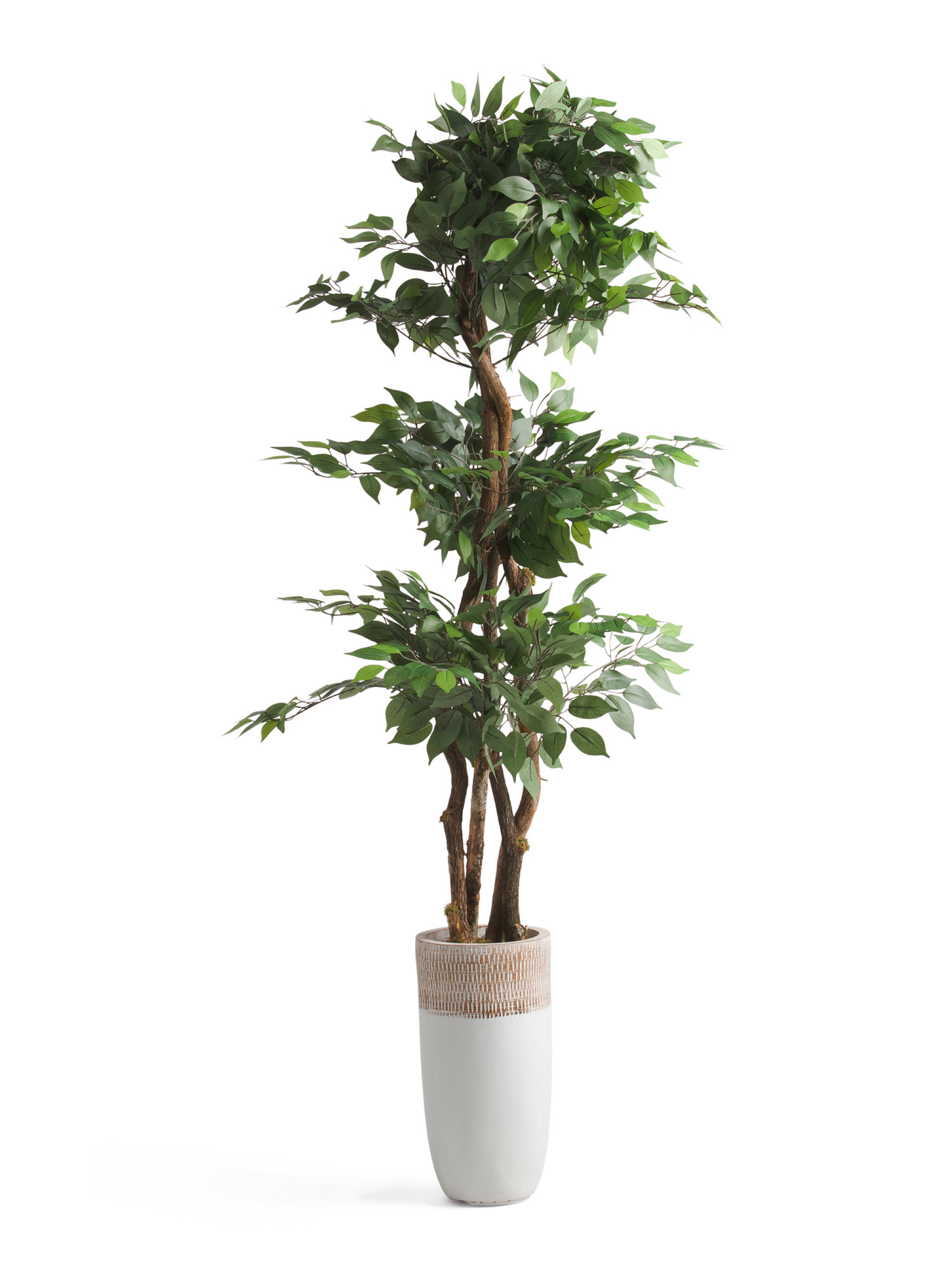 6ft Ficus 3 Tier Tree With Real Bark Covered Trunk | TJ Maxx