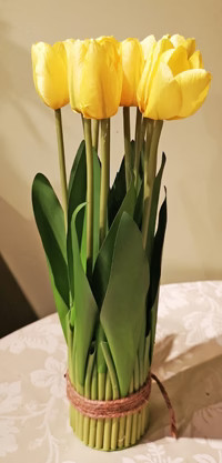 TULIP BUSH- 2 Colors Available | The Nested Fig