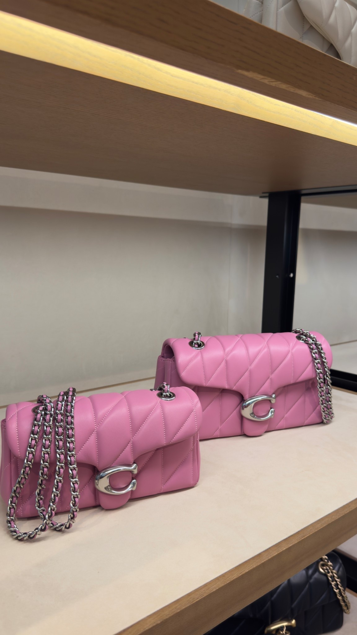 The new coach bags are 10/10🔥

#LTKBeauty #LTKItBag #LTKStyleTip