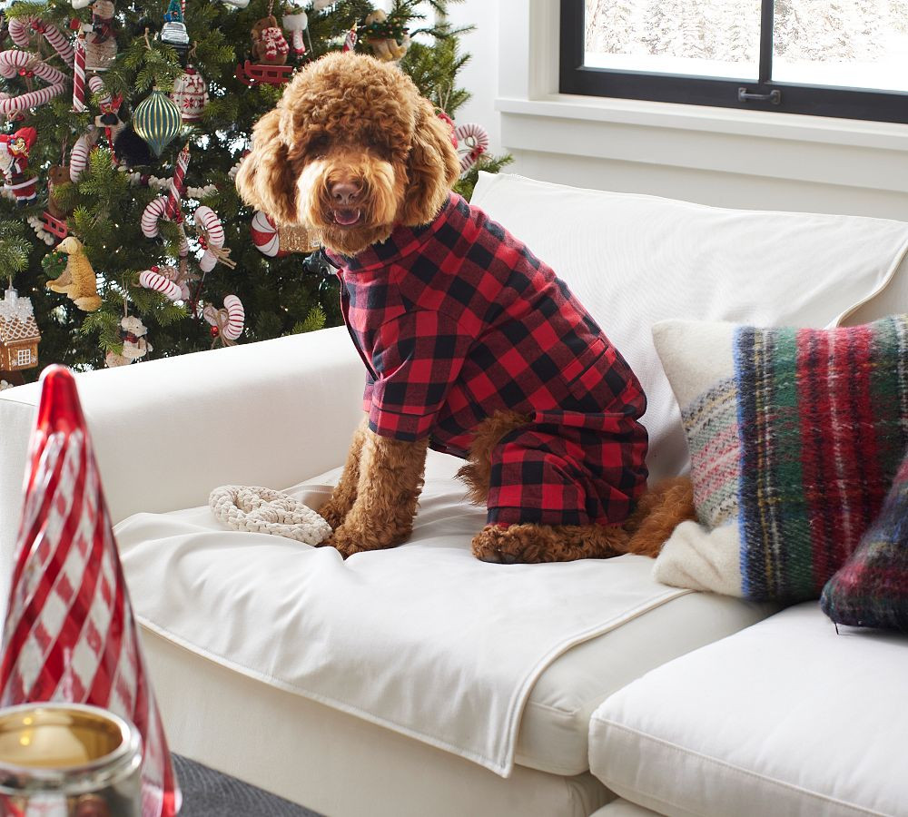 Matching Plaid Pet Pajamas | Pottery Barn (US)