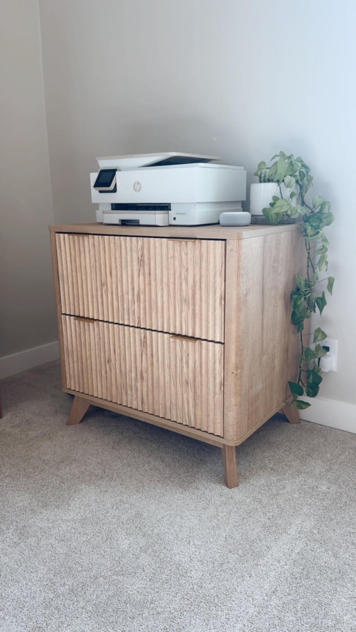This filing cabinet is such great quality but also so pretty! + it’s on sale right now!

Organization, paperwork storage, office furniture

#LTKmomlife #LTKSaleAlert #LTKHome