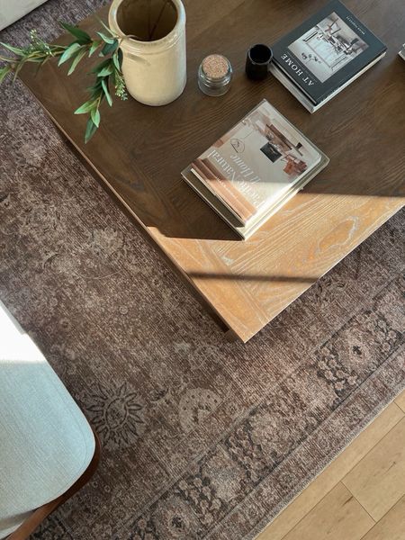 Shop our living room rug, furniture and decor! Our coffee table is currently on sale 🎉

#homedecor #coffeetable #books #planter #sofa 

#LTKsalealert #LTKhome