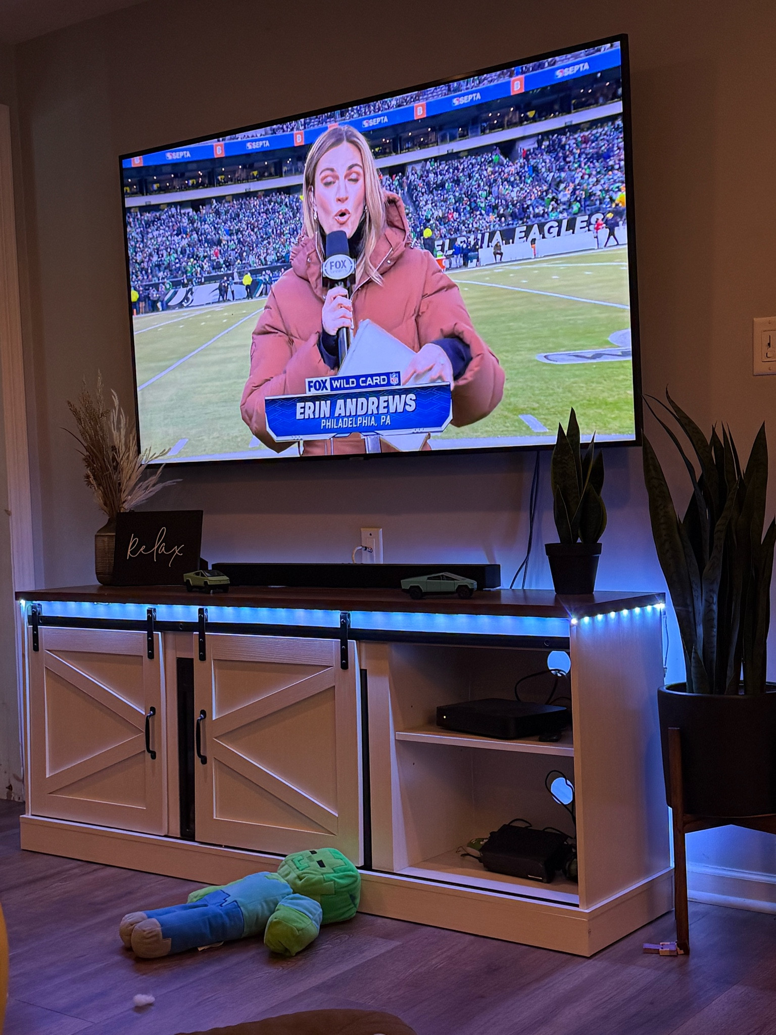 TV STAND DECOR 

#LTKStyleTip #LTKSeasonal #LTKHome