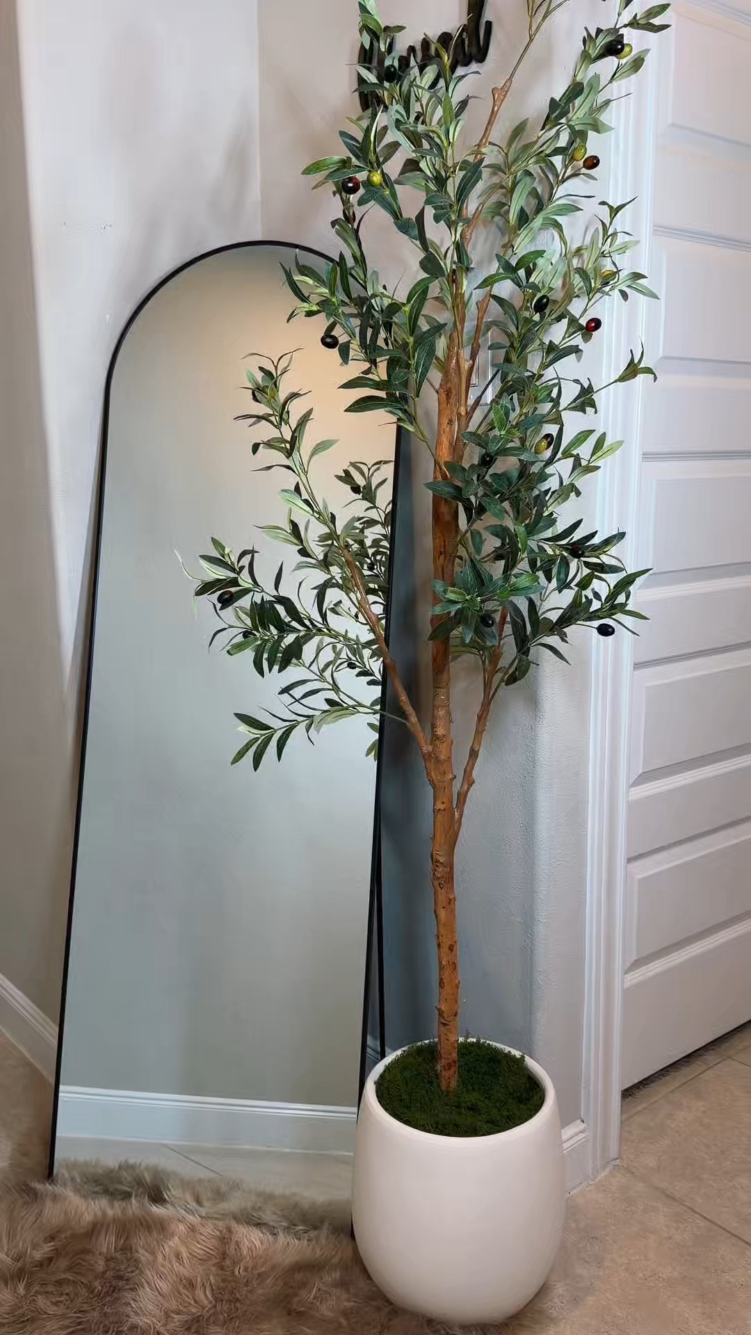 Olivo Tree 

#LTKSaleAlert #LTKmomlife #LTKHome