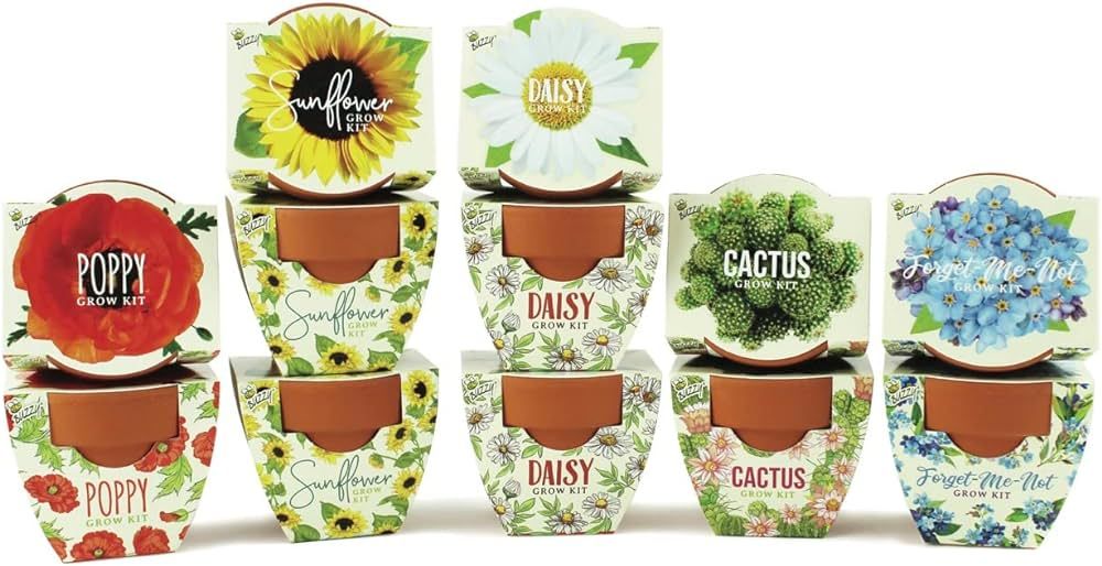 Buzzy Seeds Terracotta Mini Grow Pots | Herb, Plant, Flower Starter Kit for Kids & Adults | Assor... | Amazon (US)