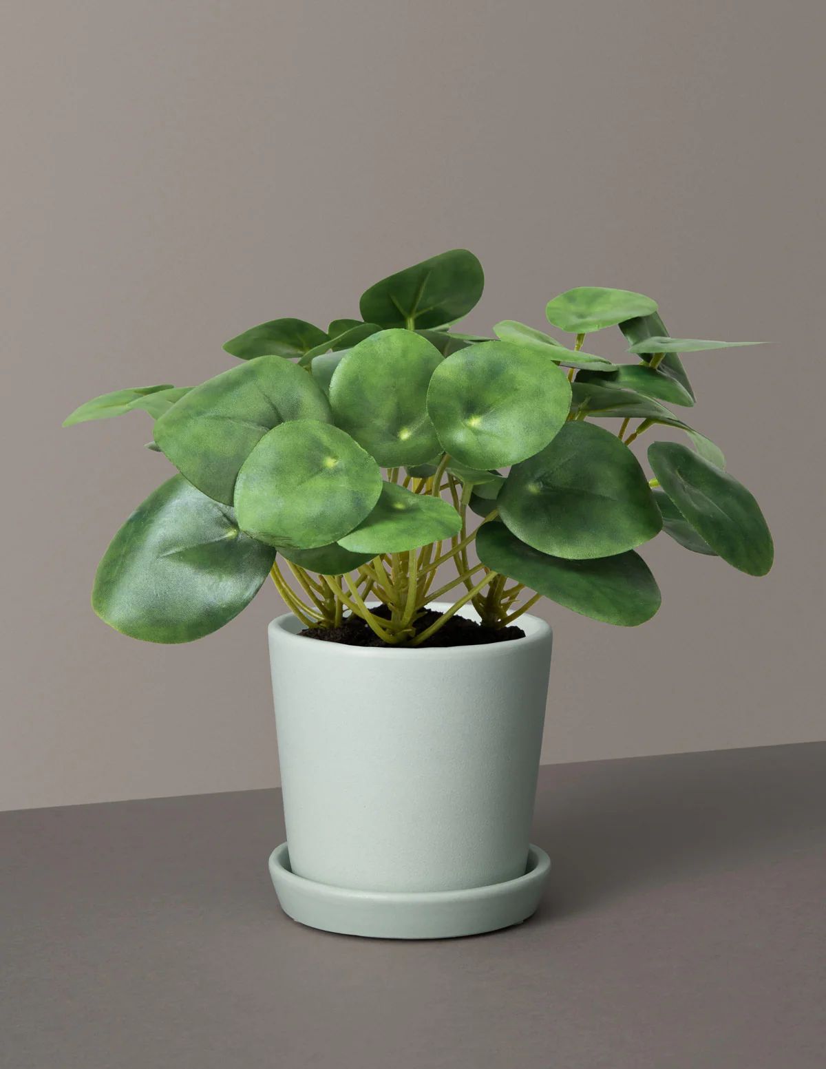 Faux Pilea Peperomioides | The Sill