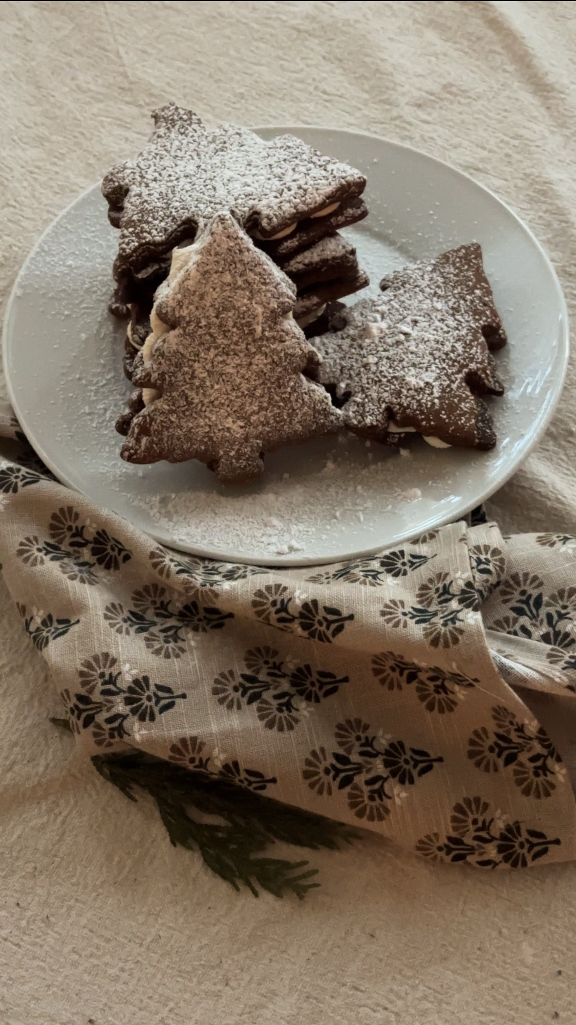 Ahh the fresh smell of gingerbread baking in the oven 🤎✨

#LTKfoodie #LTKHoliday #LTKSeasonal