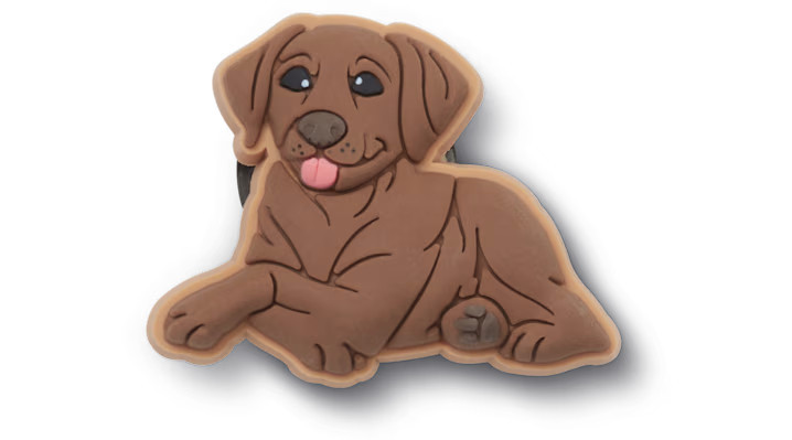 Brown Lab Puppy | Crocs (US)