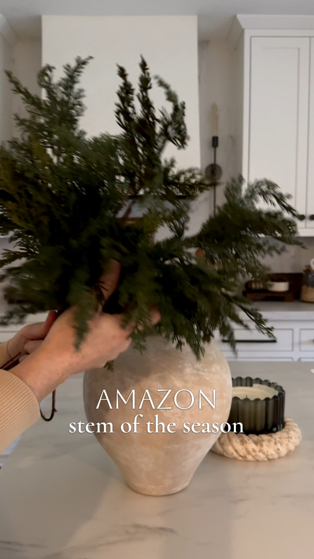 The prettiest stems for all winter long including the holidays. This drape effect is so realistic! 

Holiday, Christmas, Christmas decor, holiday decor, garland, stems, greenery, holiday style, Christmas style, home, neutral home

#LTKSeasonal #LTKHoliday #LTKHome