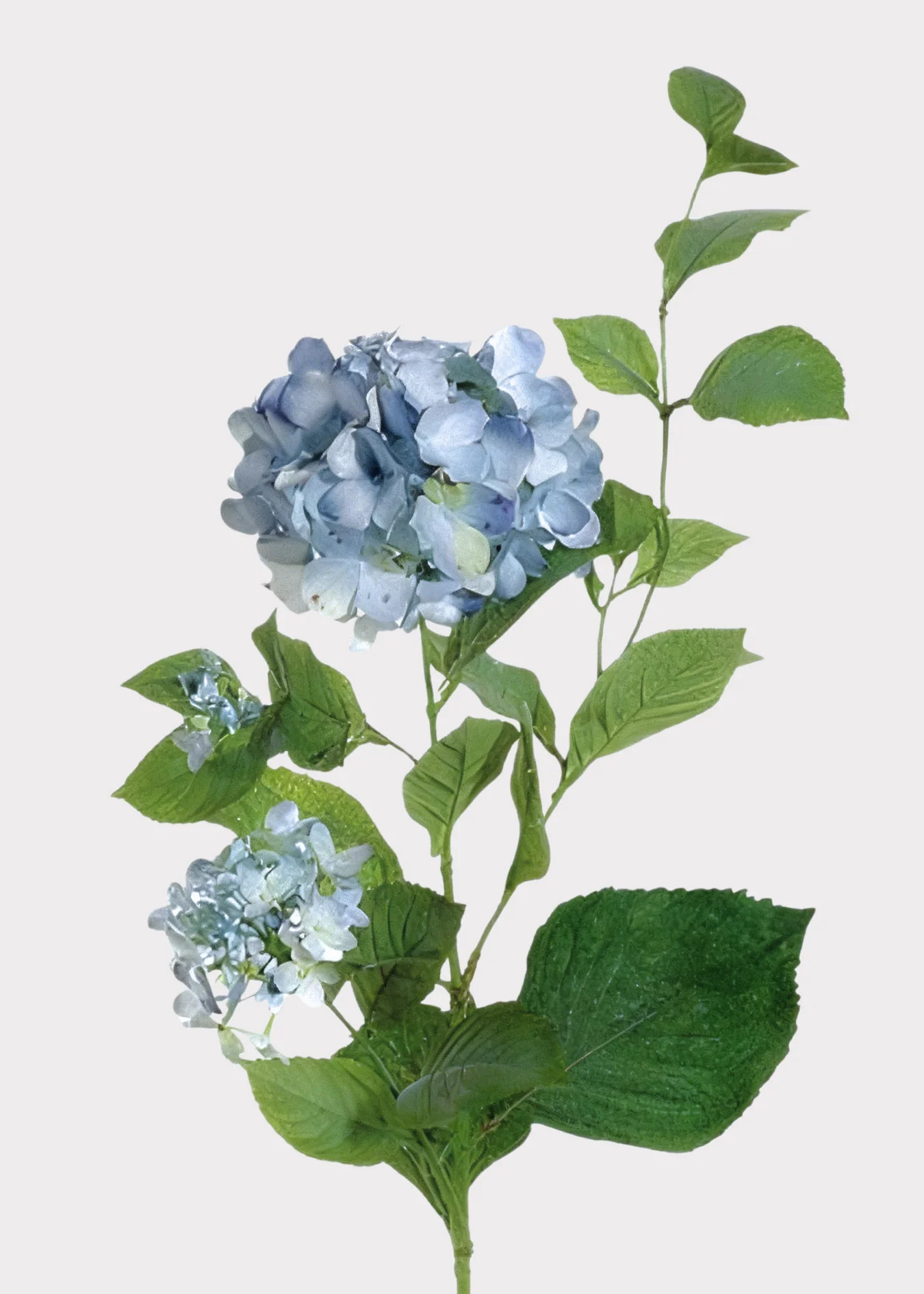 Hydrangea Stem in Light Blue | Permanent Artificial Flowers | Afloral | Afloral
