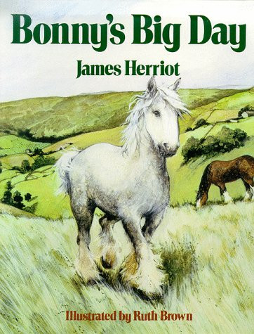 Bonnys Big Day | Amazon (US)