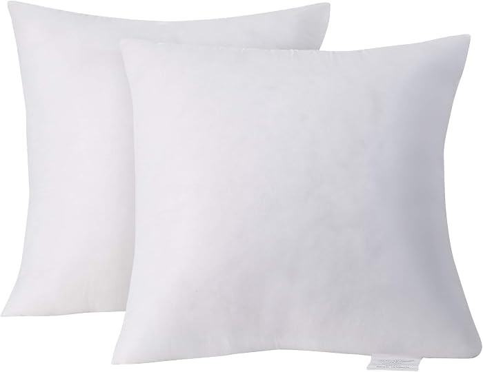 Acanva Decorative Throw Pillow Inserts for Sofa, Bed, Couch and Chair, Square Euro Sham Form Stuffer with Premium Polyester Microfiber, 2 Count (Pack of 1), White | Amazon (US)