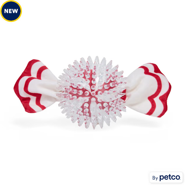 Merry Makings Peppermint Candy Rubber Dog Toy, Small | Petco