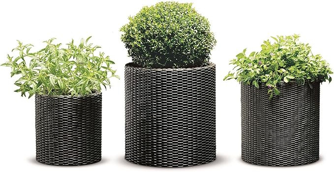 Keter Resin Wicker Cylinder Flower Pot Set of 3 Small, Medium, and Large Planters with Drainage P... | Amazon (US)
