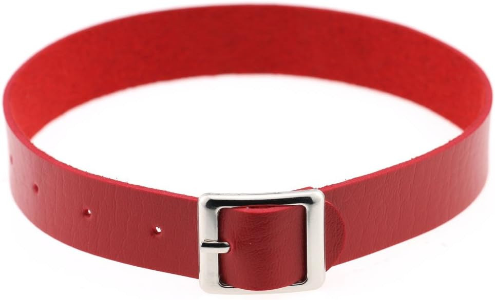 FM FM42 Multicolor PU Simulated Leather Silver-tone/Gold-tone Buckle Adjustable Belt Collar Choke... | Amazon (US)