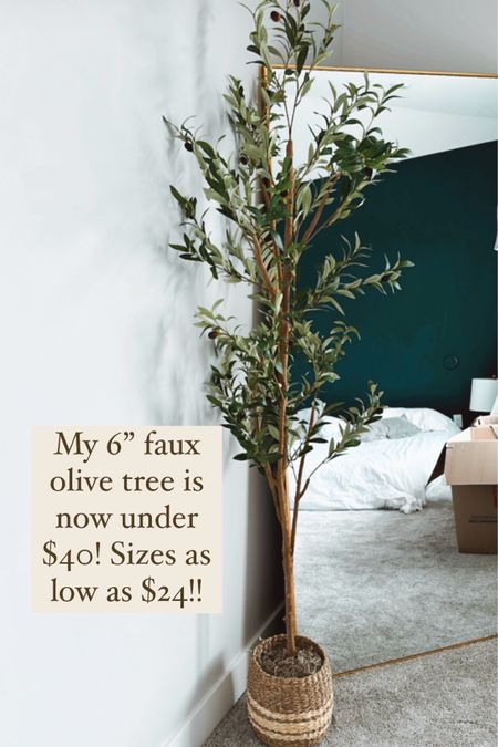 My 6’ faux olive tree is now under $40! Some options as low as $24! 

#LTKSummerSales #LTKFindsUnder50 #LTKSaleAlert