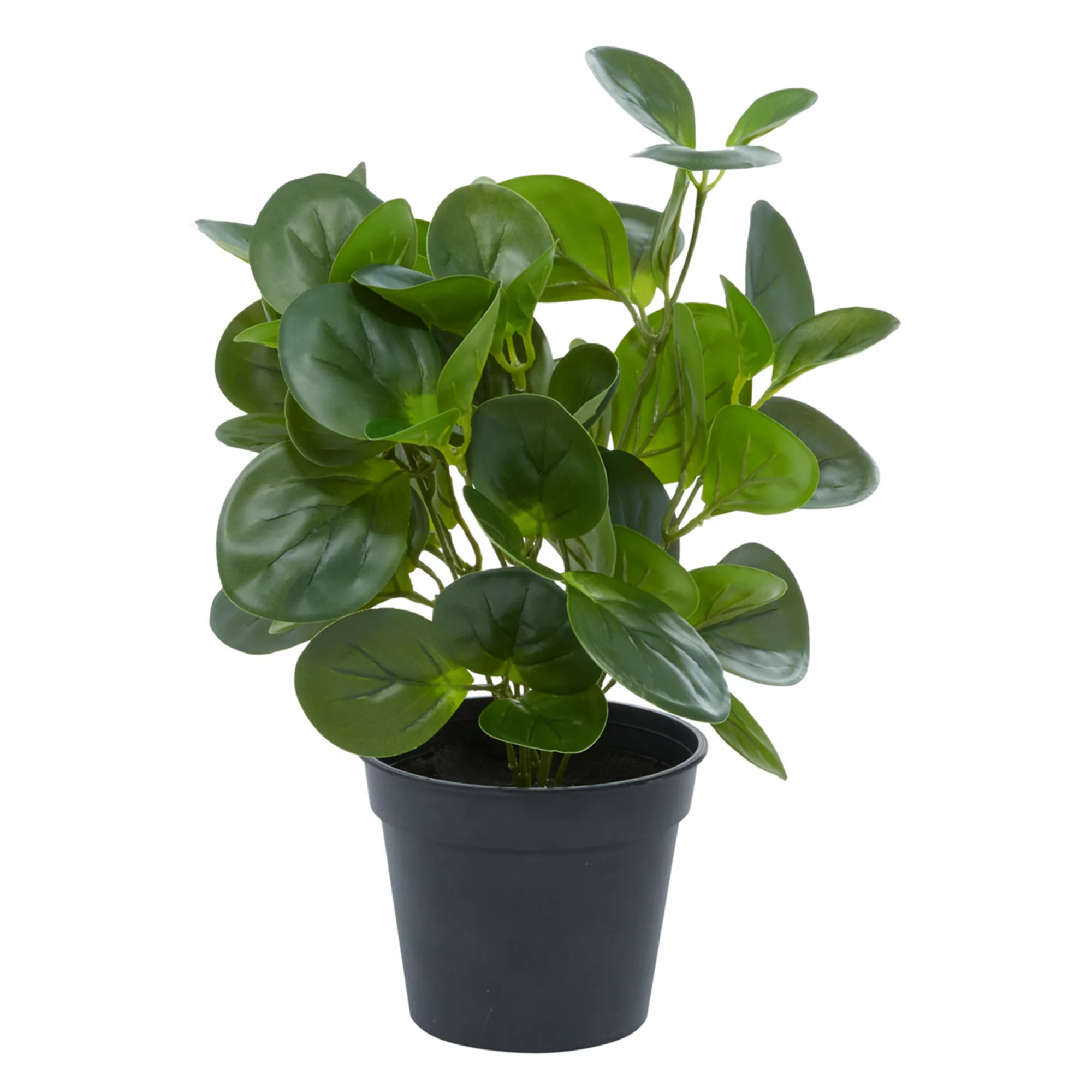 Stella & Eve Artificial Plant Floor Decor | Kohl's