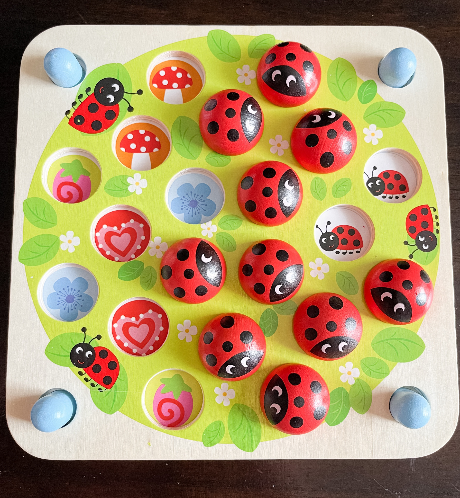 Ladybug Garden Memory Game is an adorable wooden matching game with a ladybug theme. Perfect for preschool ages 3-5. We love playing it with our daughter. 

#LTKGames #LTKPreschool