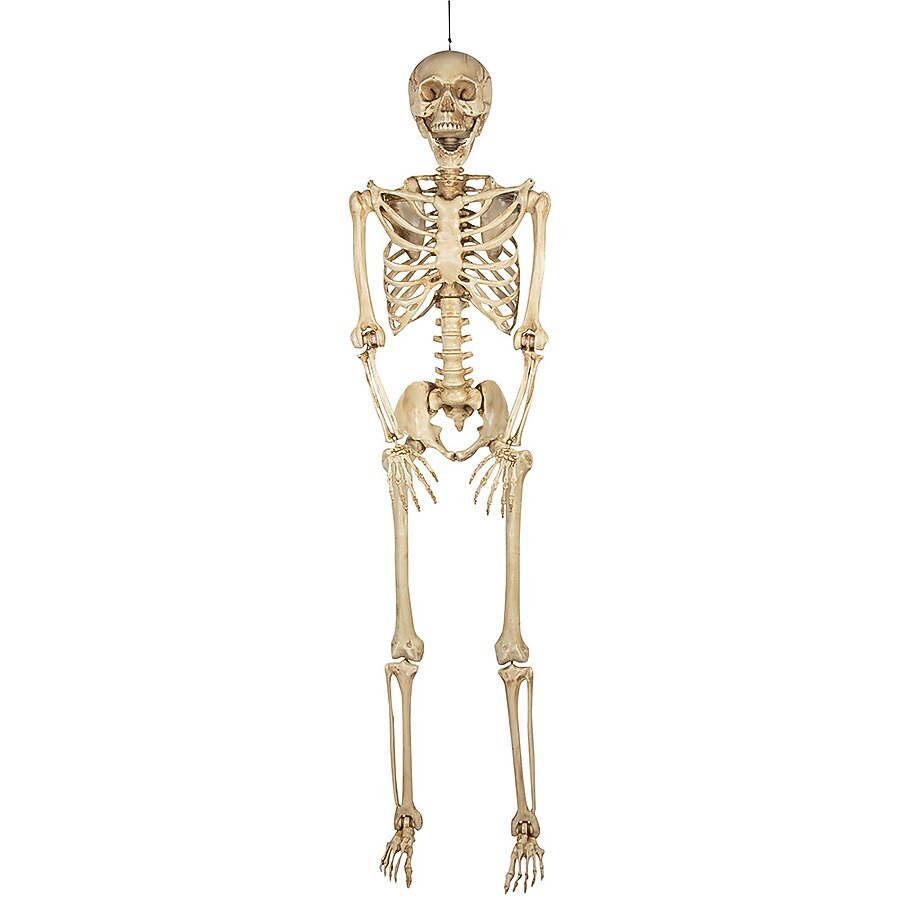 Haunted Living 7-ft Hanging Poseable Skeleton Decoration | Lowe's