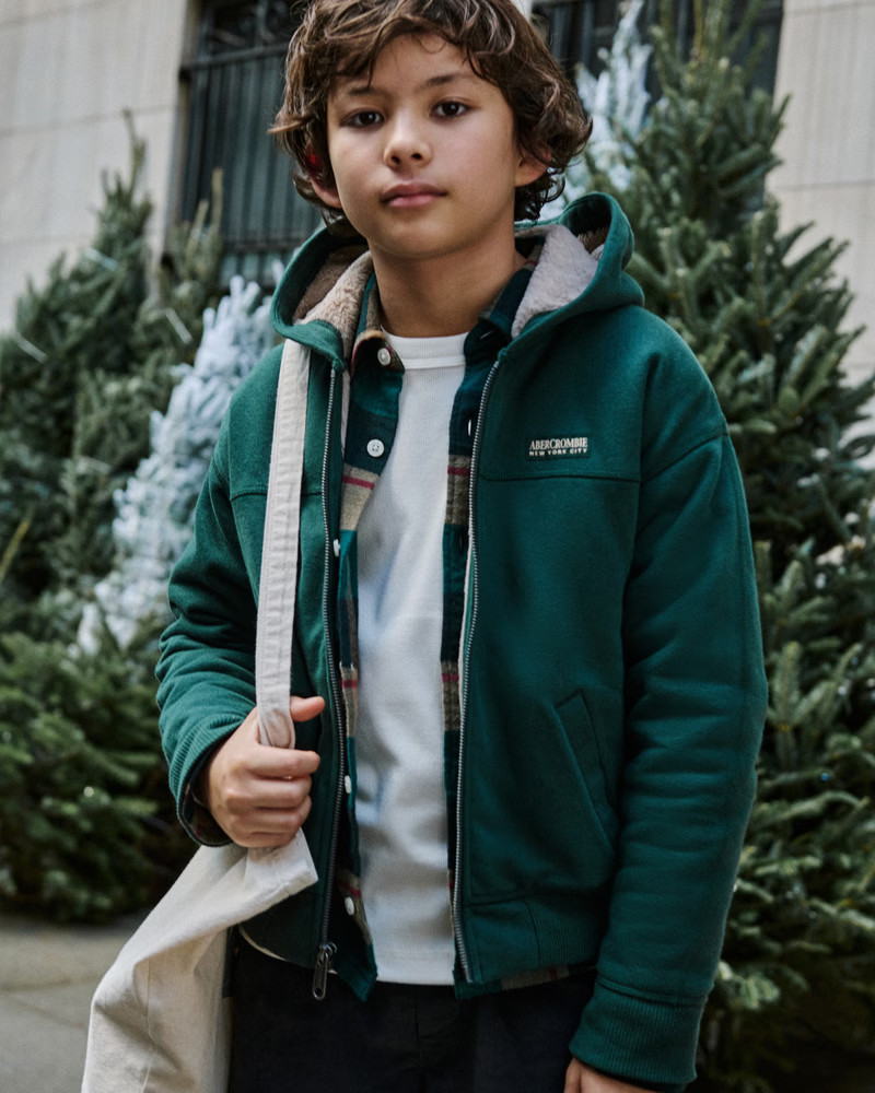 faux fur-lined logo full-zip hoodie | Abercrombie & Fitch (US)