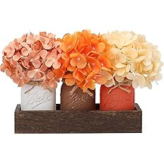 2023 Fall Mason Jars, Fall Centerpiece Table Settings, Wood Tray with 3 Painted Jars, Dining Coff... | Amazon (US)