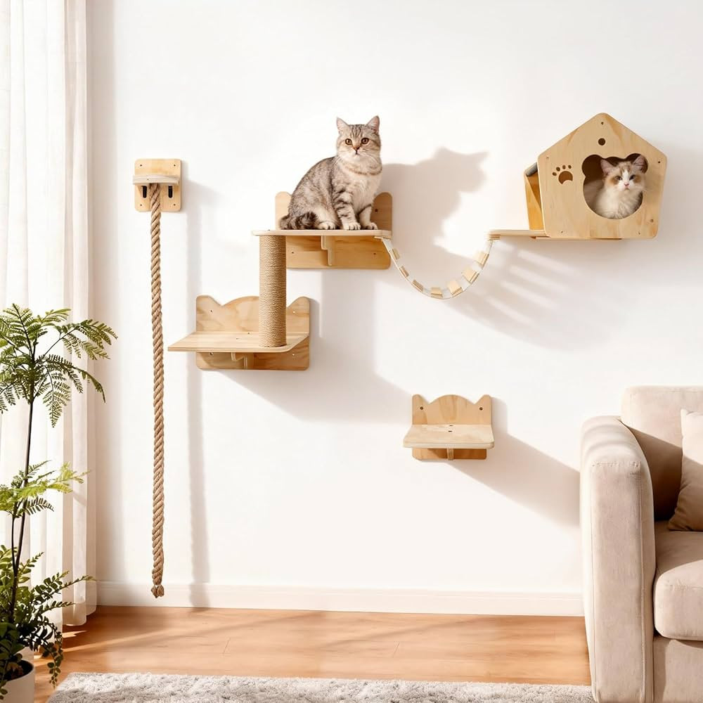Cat Wall Shelves, Multi-Level Cat Climbing for Indoor Cats, DIY Wall-Mounted Cat Furniture Set wi... | Amazon (US)