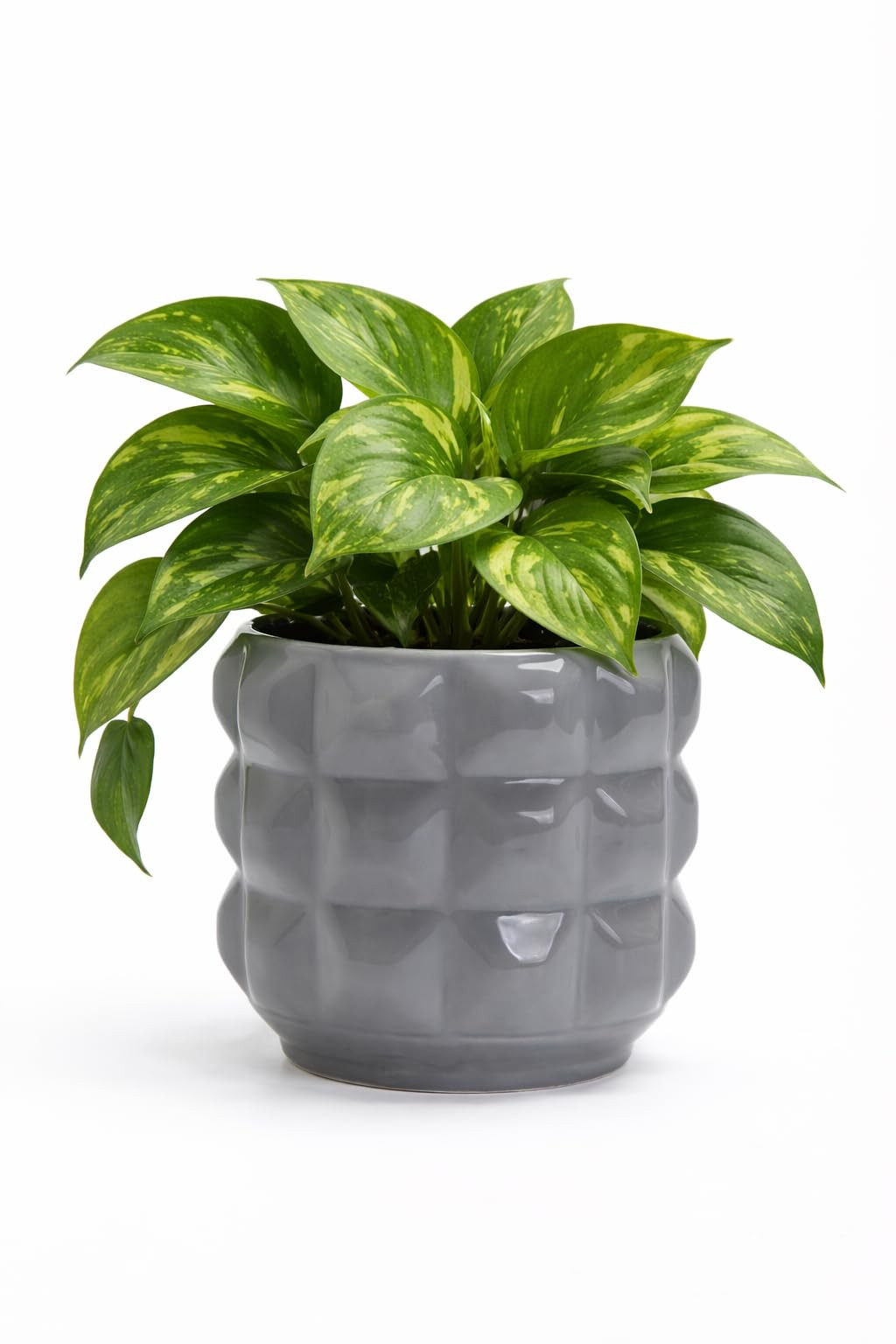 Arktiva Ceramic Planter Pot with Drainage Hole, 4.5 Inch Dia, Indoor and Outdoor, Home Patio Gard... | Amazon (US)