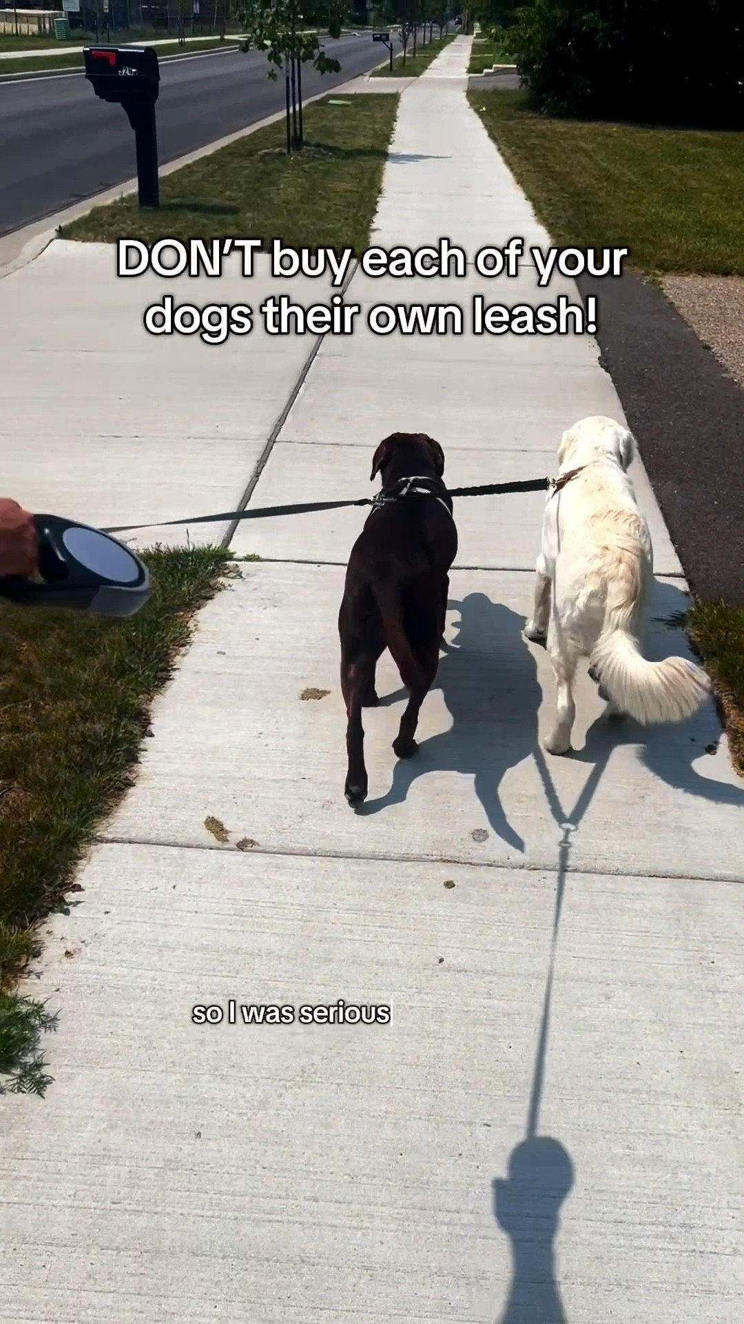 | purchased this double dog leash for large dogs (up to 110lbs each) on my own & these are our honest thoughts 🤍

Shop this same leash and get a FREE poop bag holder with bags!

#doubledogleash #dualdogleash #dogproducts

#LTKPets #LTKActive