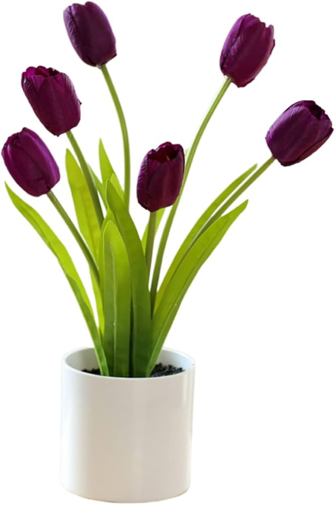 Wnvivi Purple Artificial Potted Tulips Flowers, 13.7 Real Touch Tulips Faux Flowers in Vase Fake ... | Amazon (US)