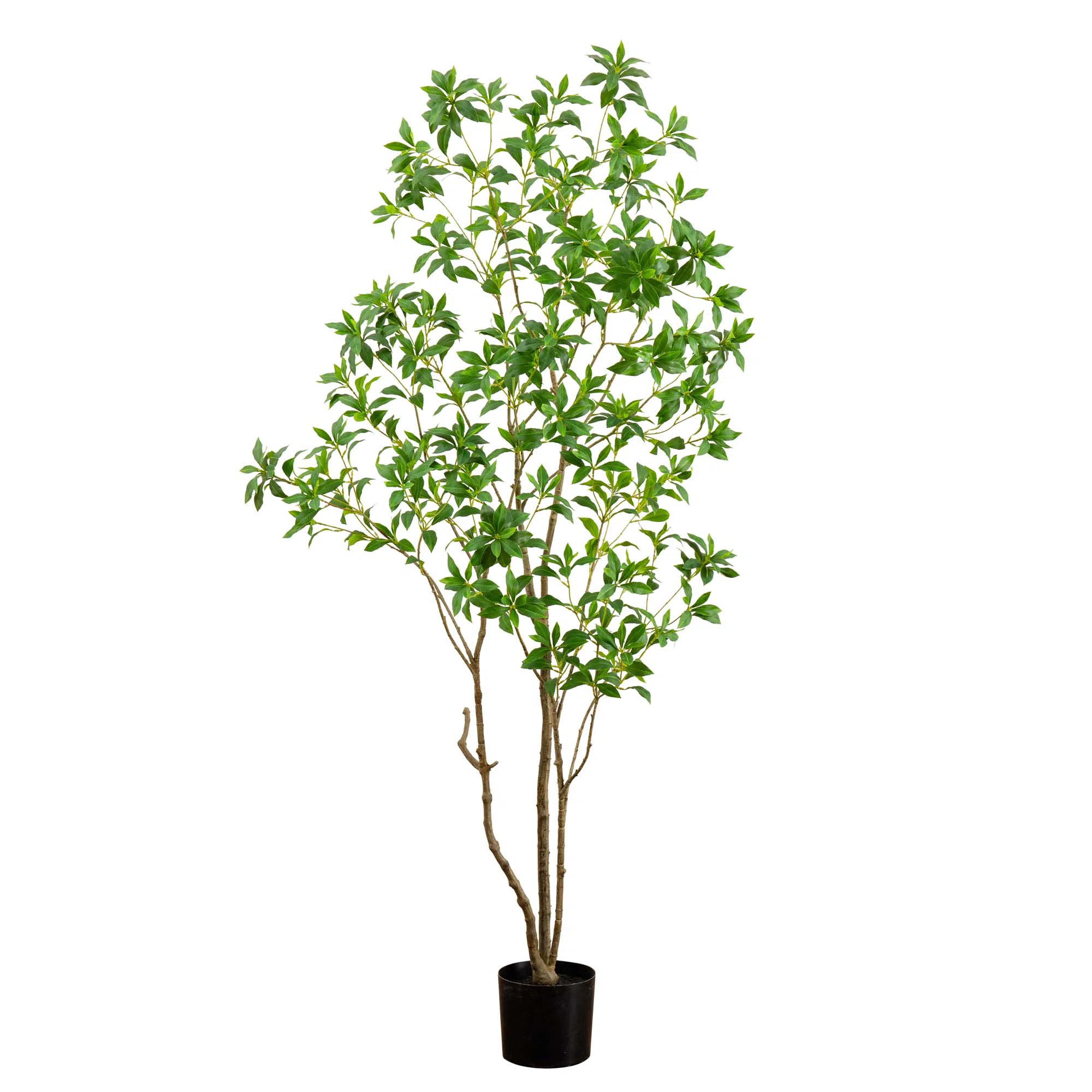 84'' Faux Pieris Tree in Pot Liner | Wayfair North America