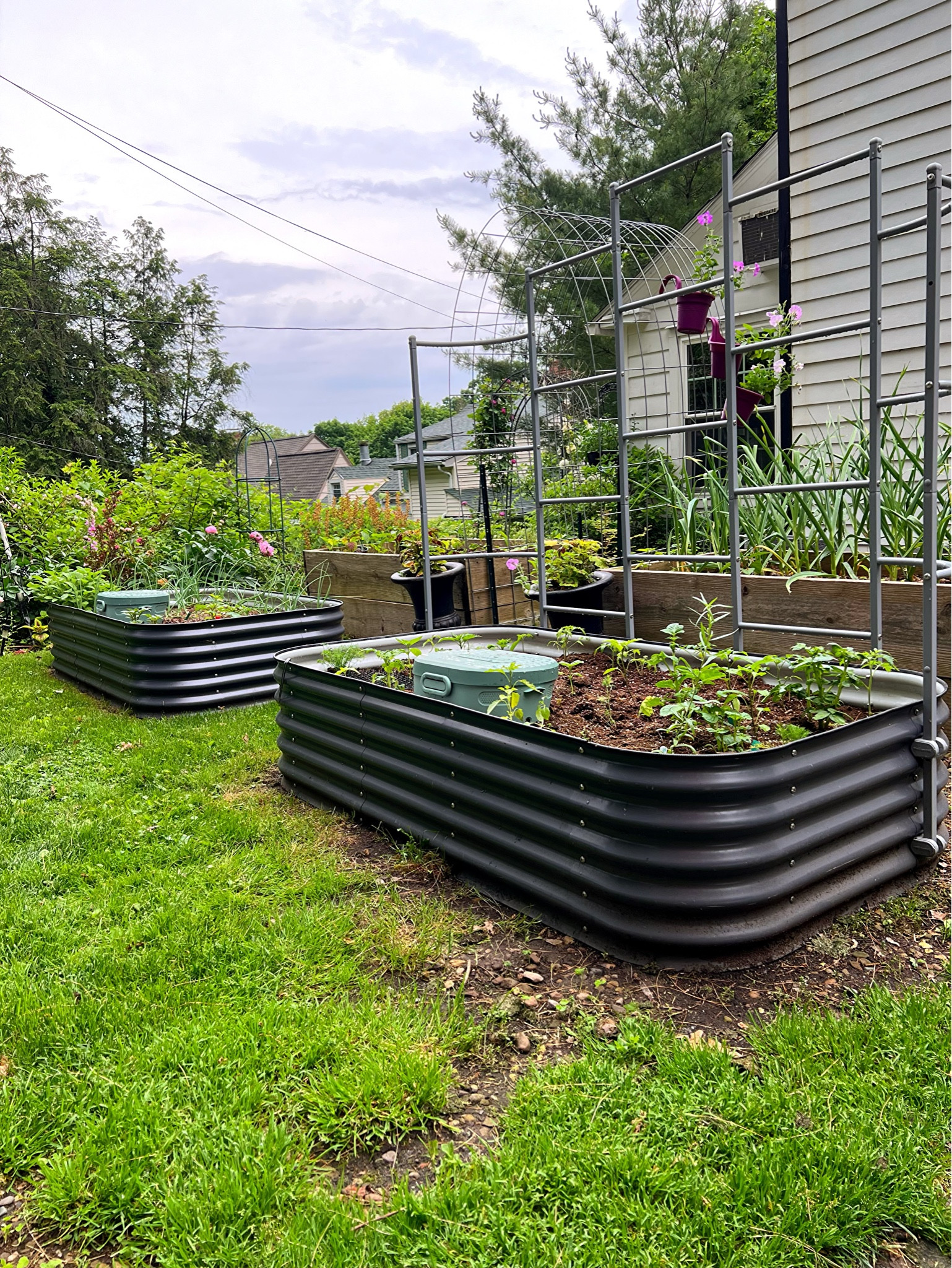 Give your plants a place to climb with a Vego Garden Trellis! 

#LTKWatchNow #LTKHome #LTKFamily