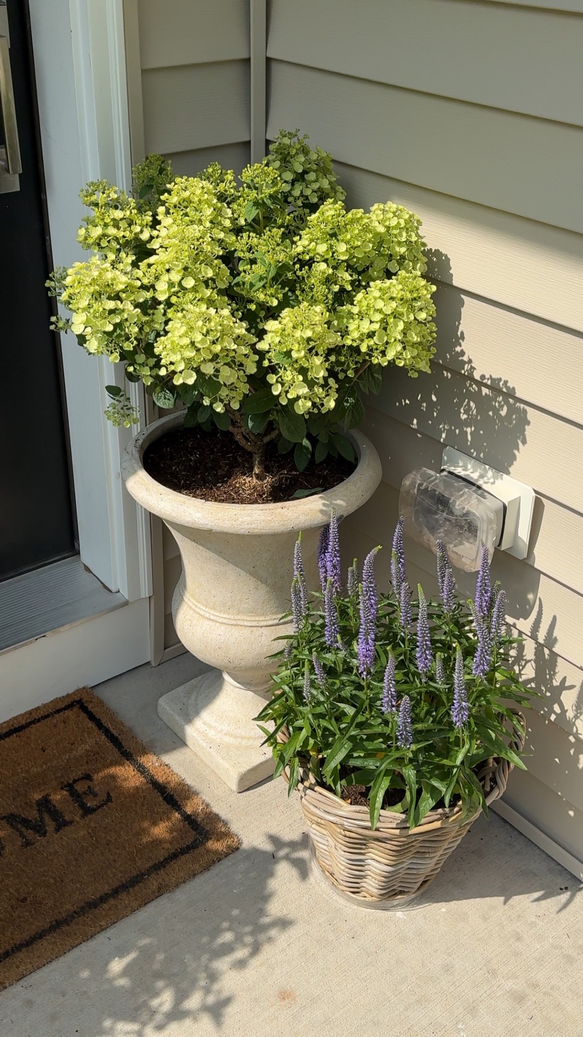 6/12/25 front porch setup 🫶🏼 small porch plant setup, cozy front porch plants, neutral outdoor plant pots, cozy home plant decor, outdoor pots and planters, cozy small porch styling, front porch home refresh, cozy outdoor home vibe, neutral cozy home entry, gentle outdoor styling, soft neutral outdoor setup

